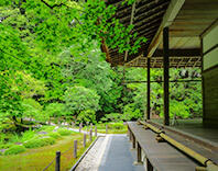 聴覚【ヒーリングBGM】