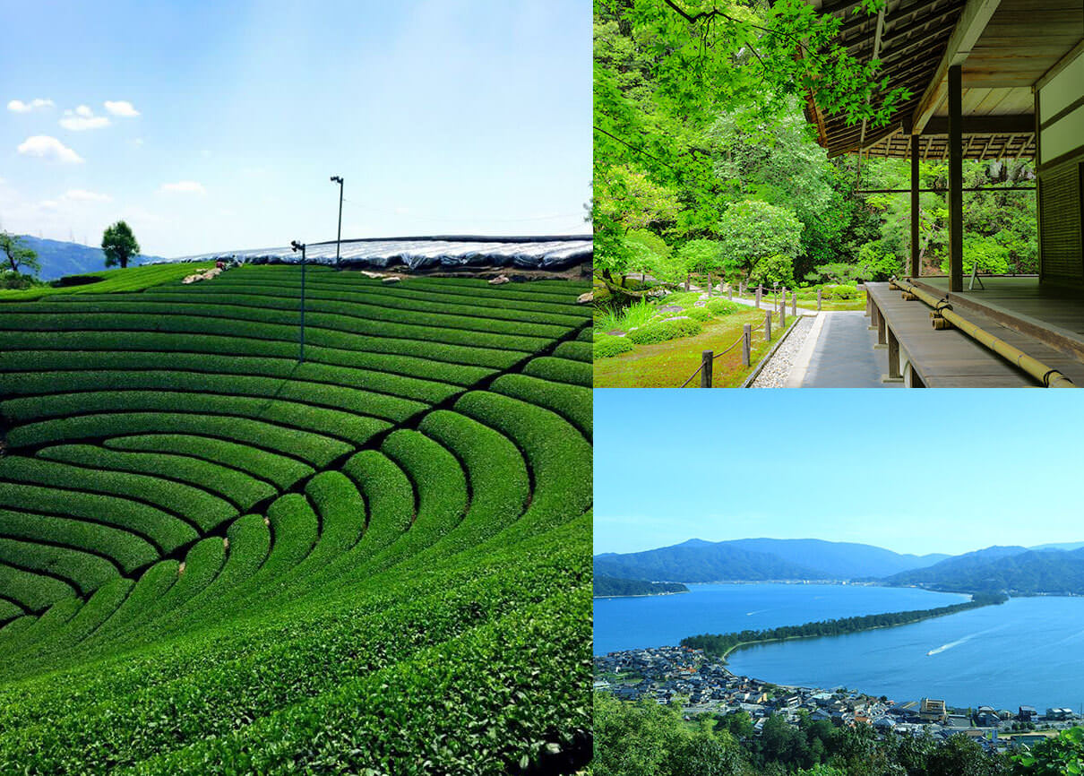 HEARING Living Background Music