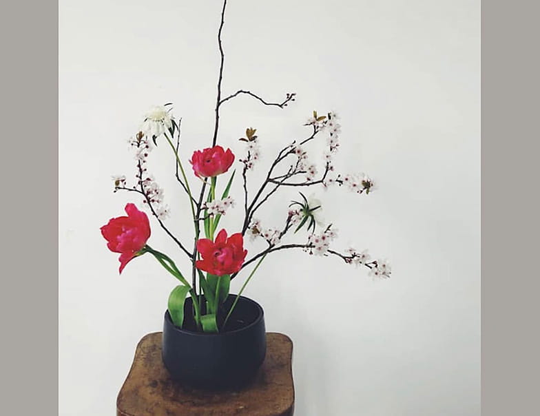 Kuwahara-Senkei School Ikebana Lesson: The First Steps of Flower Arranging