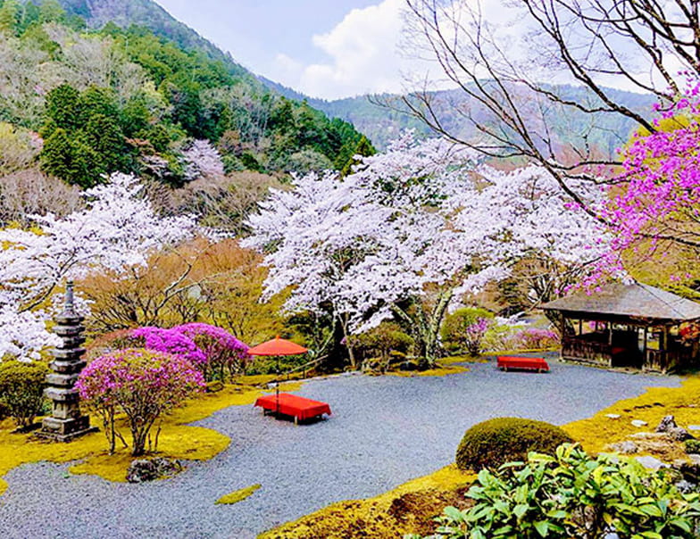Garden for Private Use, Hakuryuen: A secret Paradise with a View of Mt. Kurama 