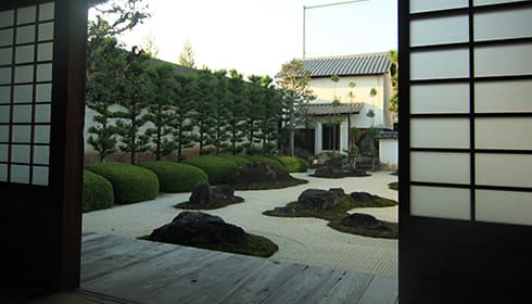 妙蓮寺の美しい庭を堪能