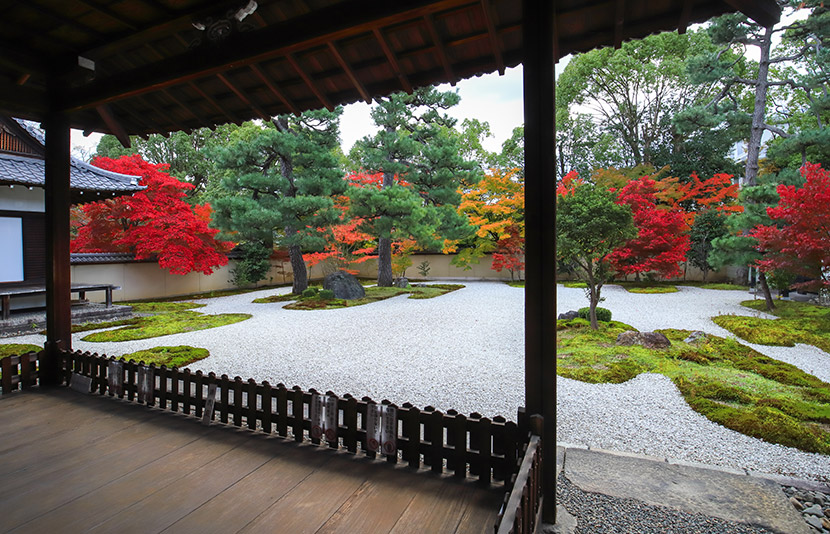 近隣の寺院で静寂の美に身をゆだねるひとときを。