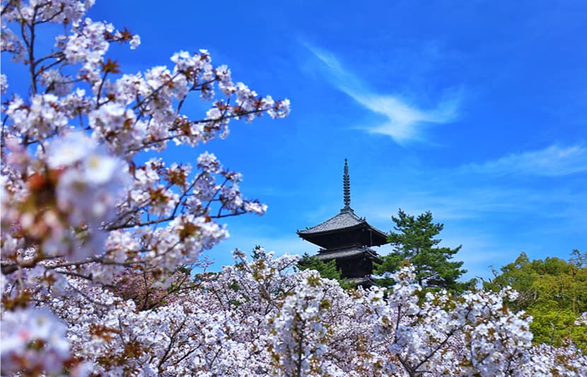 京都ならではの「仕出し朝食」をプライベート空間で