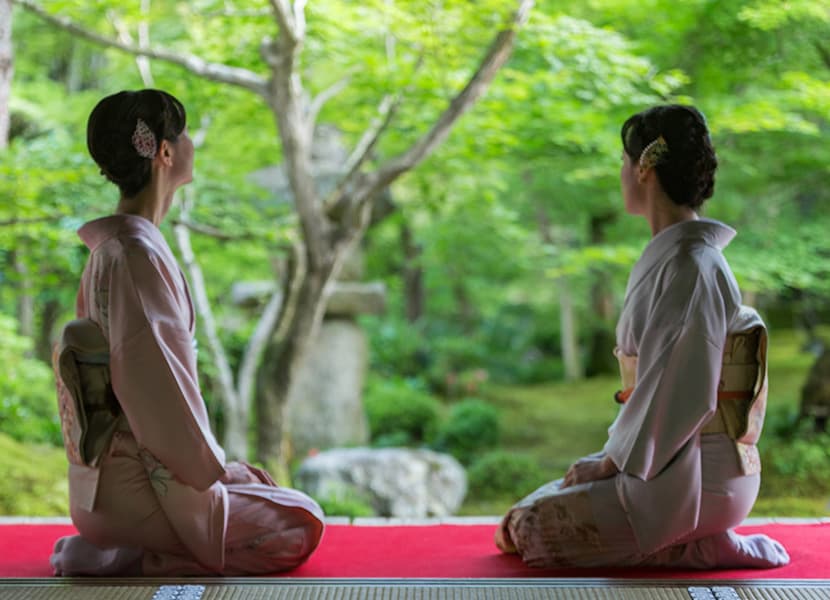 朝、花開く睡蓮を観に平安神宮へ。梅雨の京都は風情がより感じることができる季節。青もみじやあじさい、ショウブが美しく、苔寺ではみずみずしい木花をお愉しみいただけます。