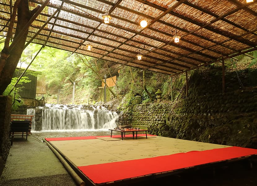 朝、花開く睡蓮を観に平安神宮へ。梅雨の京都は風情がより感じることができる季節。青もみじやあじさい、ショウブが美しく、苔寺ではみずみずしい木花をお愉しみいただけます。