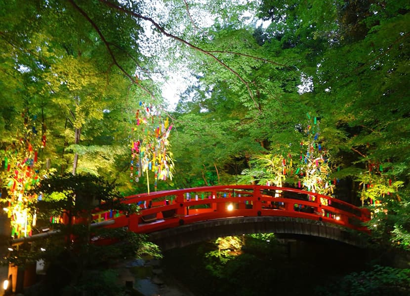 朝、花開く睡蓮を観に平安神宮へ。梅雨の京都は風情がより感じることができる季節。青もみじやあじさい、ショウブが美しく、苔寺ではみずみずしい木花をお愉しみいただけます。