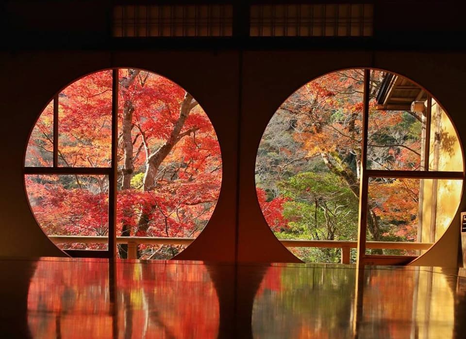 伝統美と絶景を観に嵐山へ