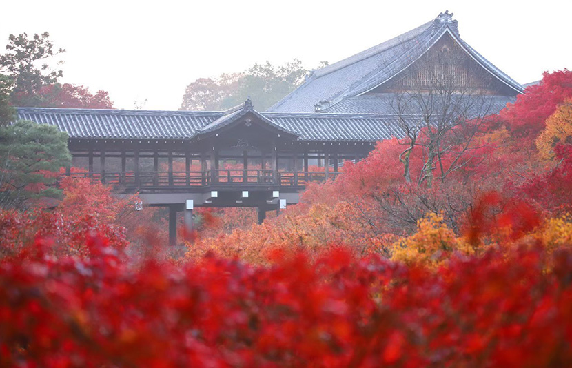 近隣の寺院で静寂の美に身をゆだねる散策を。