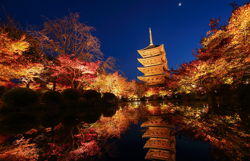 近隣の寺院で静寂の美に身をゆだねる散策を。