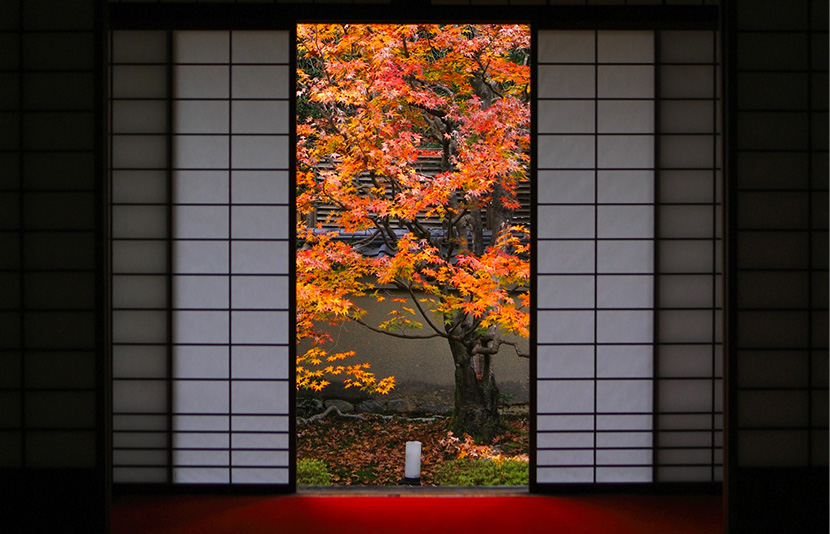 近隣の寺院で静寂の美に身をゆだねる散策を。