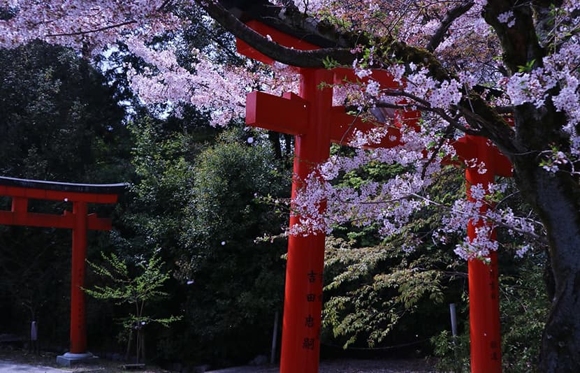 近隣の寺院で静寂の美に身をゆだねる