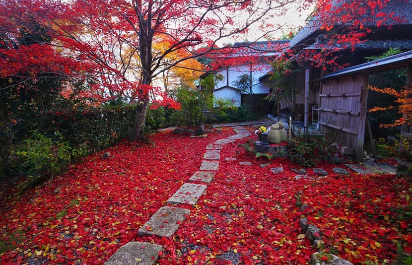 伝統美と絶景を観に嵐山へ