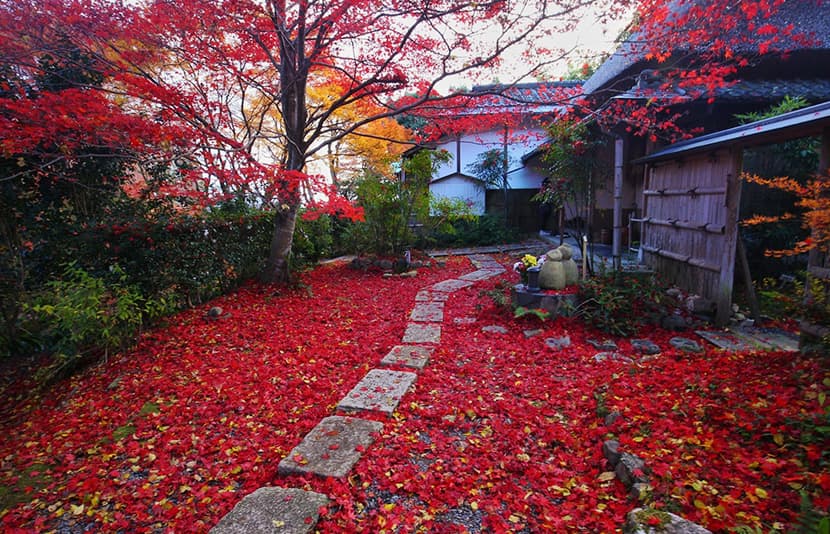 伝統美と絶景を観に嵐山へ